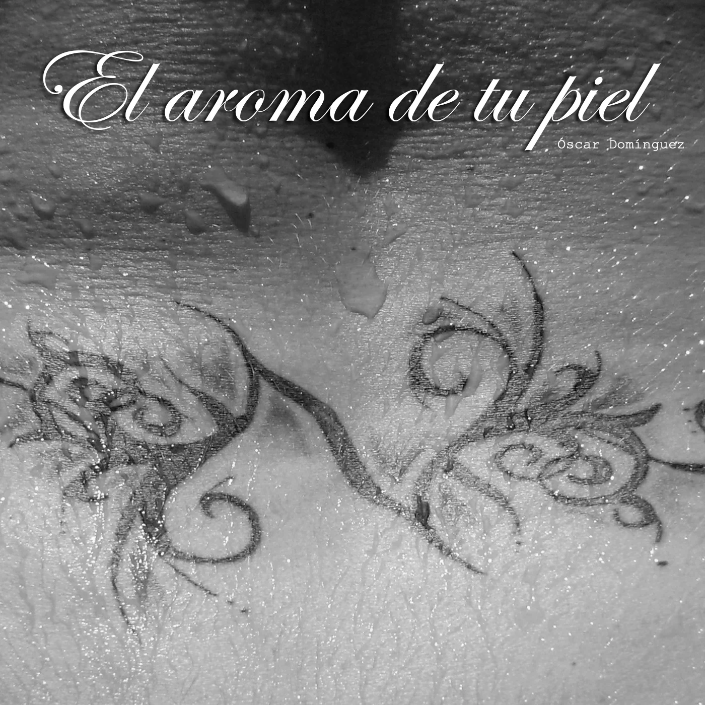 Portada de la canción: El aroma de tu piel