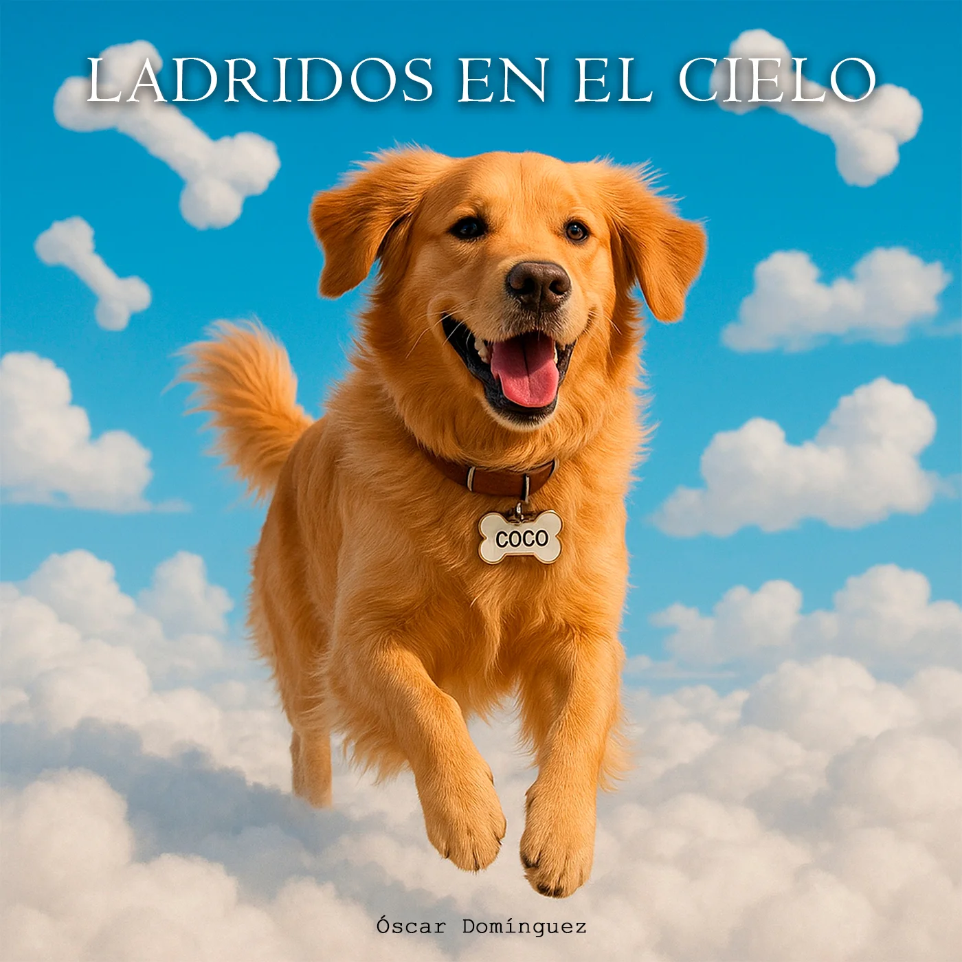 Portada de la canción: Ladridos en el cielo